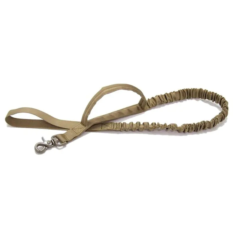 Brown Leash