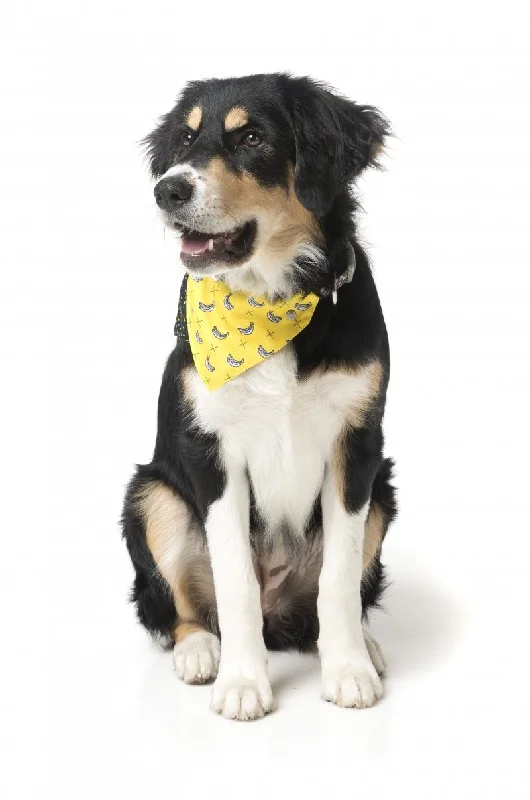 FuzzYard Bandanas