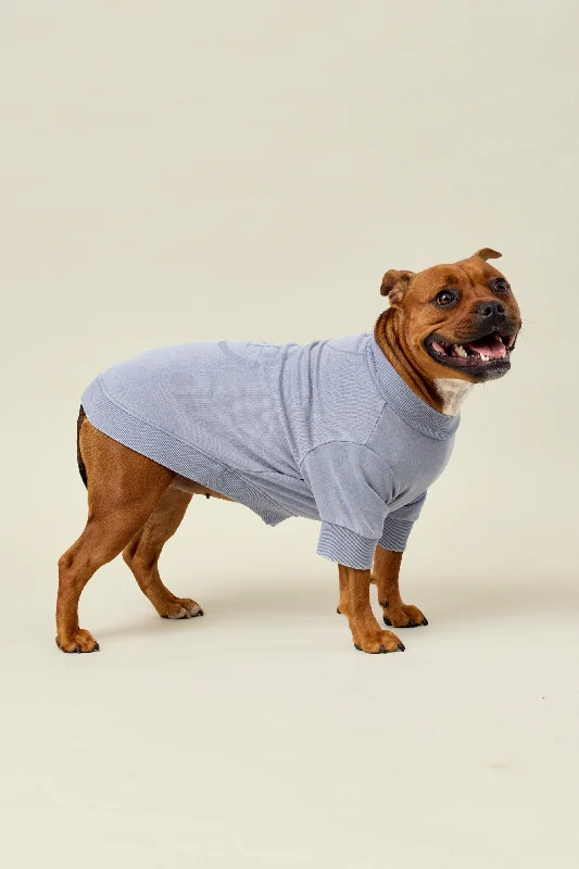 BFF Dog Sweat - Slate