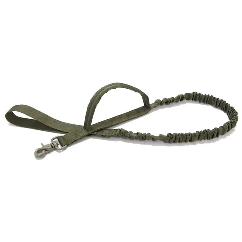 Green Leash
