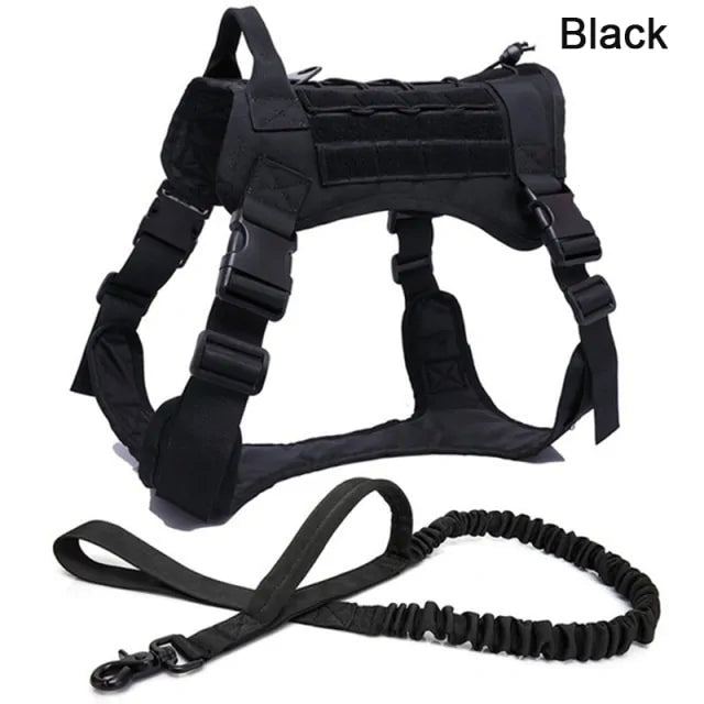 B-Straps And Rope