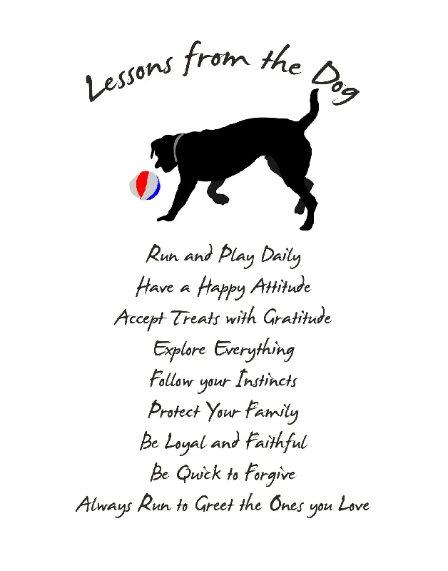 Lessons From a Dog - UNFRAMED 11 x 14" Print