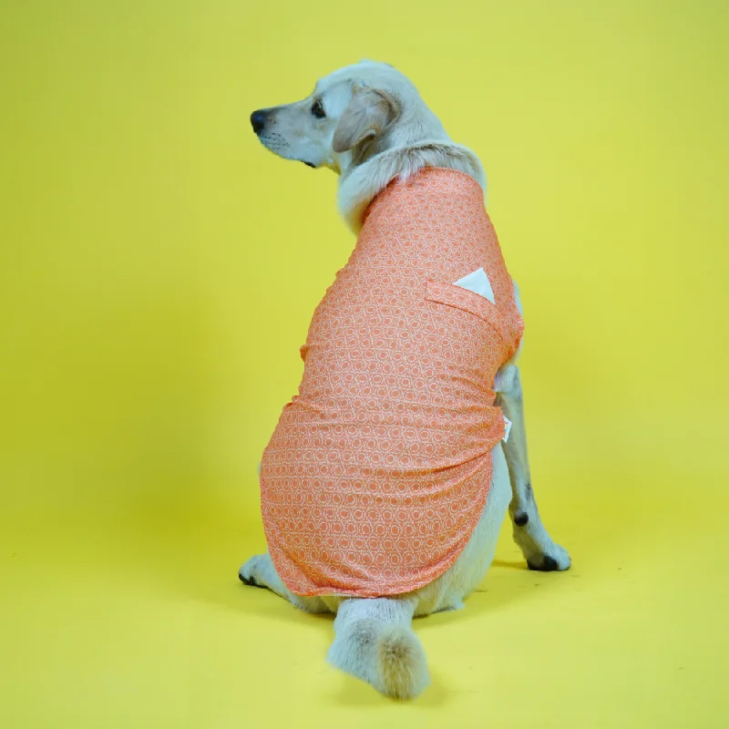 - Pet electric nail grinder silent modelSkatrs Marigold Mandala Printed Kurta for Dogs and Cats (Orange) - Pet electric nail grinder silent modelSkatrs Marigold Mandala Printed Kurta for Dogs and Cats (Orange)