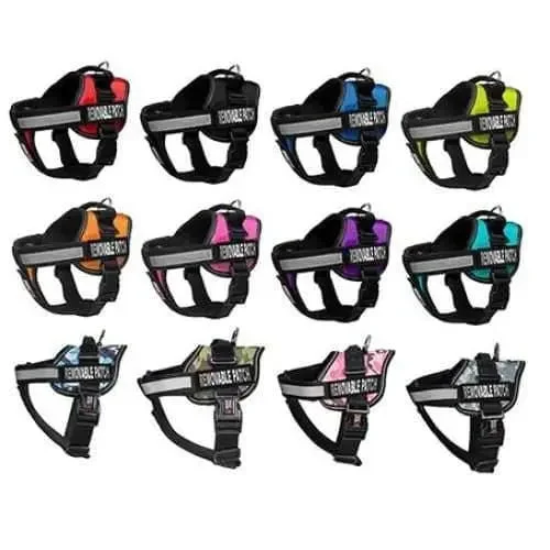 - Automatic induction pet water dispenserDogline Unimax Multi Purpose Harness